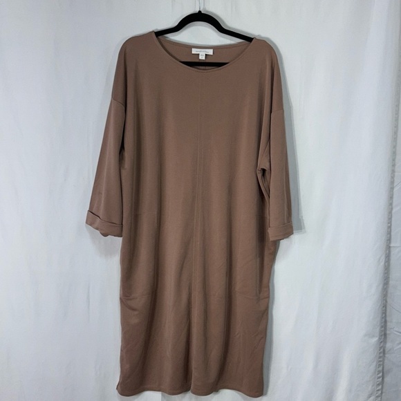 🥒 Pure Jill tall large tan knit, loose fitting long sleeve dress with pockets - Picture 2 of 10